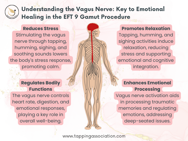 Infographic explaining how vagus nerve stimulation through tapping, humming, sighing, and soothing sounds reduces stress, promotes relaxation, regulates functions, and enhances emotional processing.